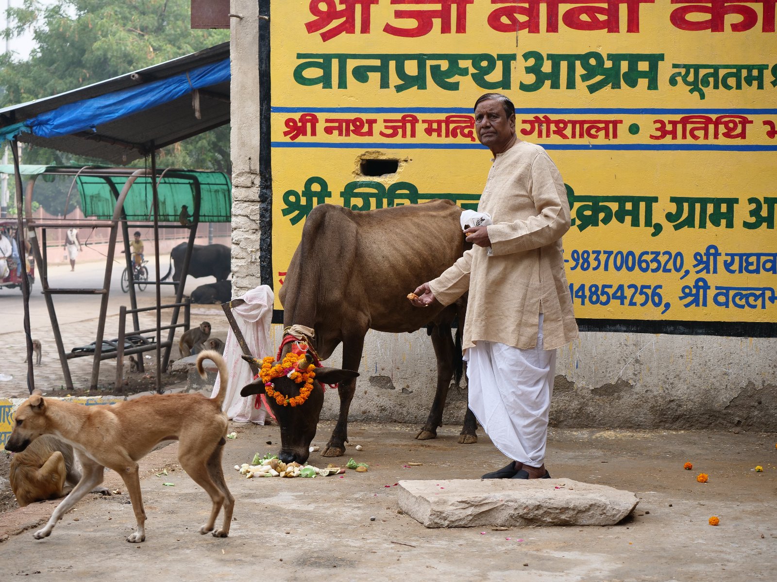  76 Gopashtami Radha kunda Govardhan 19.11.04